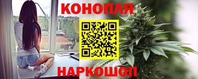 индика Заволжье