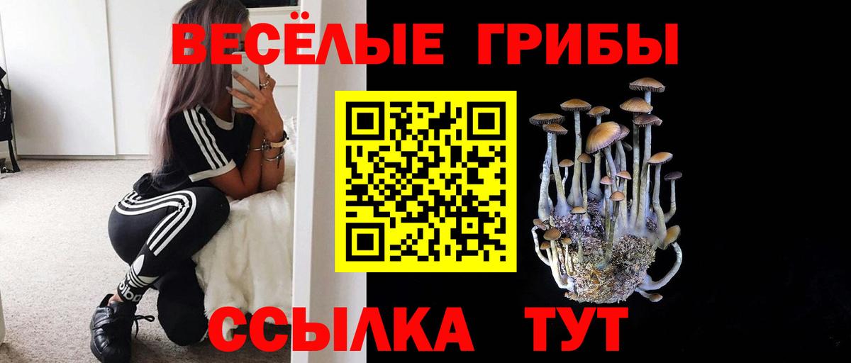 Братск  Псилоцибиновые грибы мухоморы  Вход с VPN  Галлюциногенные грибы GOLDEN TEACHER 
